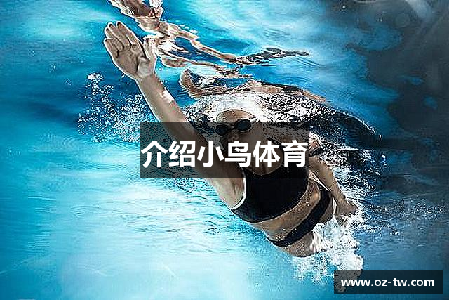 介绍小鸟体育